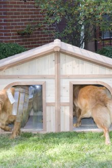Stand pour deux chiens