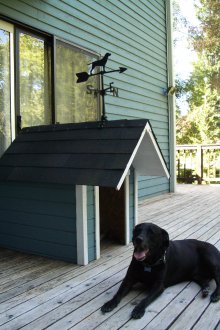 Cabine pour chien avec girouette