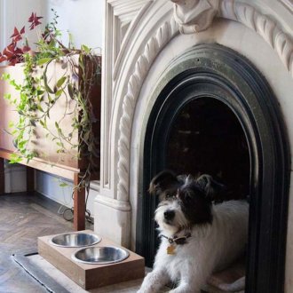 Boîte pour chien cheminée