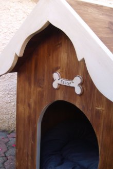 Boîte pour chien colorée