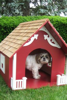 Boîte pour chien rouge