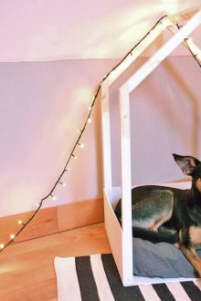 Lit pour chien