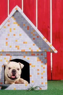 Décoration de boîte à chien