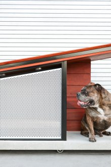Boîte pour chien mobile