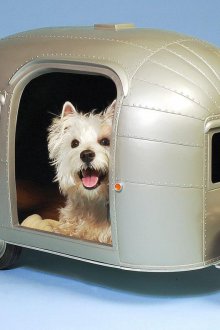 Boîte pour chien en plastique