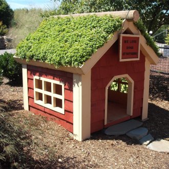 Niche avec plantes