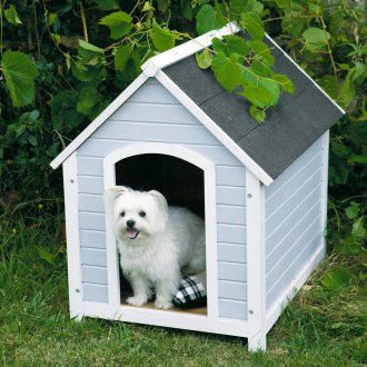 Boîte de parement pour chien