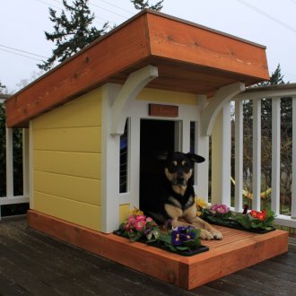 Boîte à chien avec terrasse