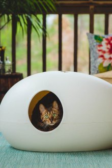 Modern cat house