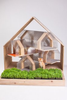 Plastic and wooden cat house