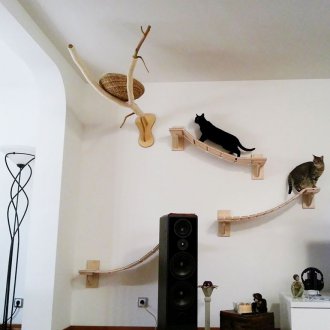 Hanging cat house