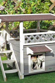 Cat house in the garden