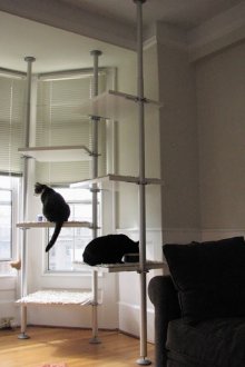 Cat hammock