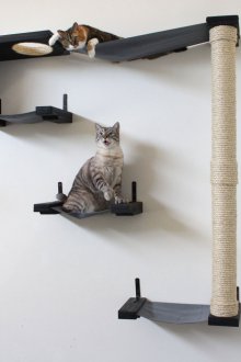 Cat hammock with playground