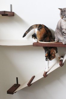 Cat hammock with stairs