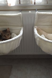 Hammock lounger for cat