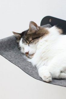 Cat hammock on a metal frame