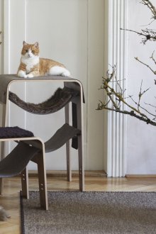 Hammock for cat modern