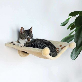 Cat hammock on the wall