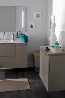 Muebles para un baño opaco