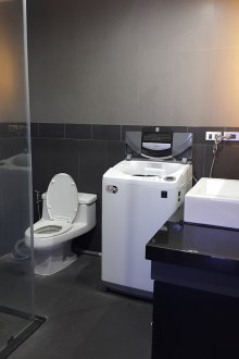 מכונת כביסה בחדר אמבטיה אפור