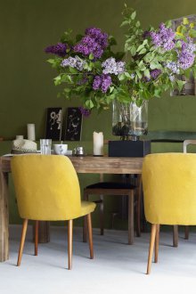 Feng shui iç yeşil renk