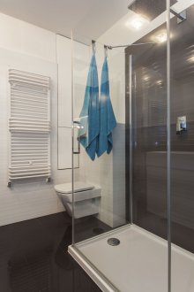 Pequeño baño en diseño monocromo