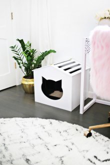 Kedi evi ile koridor tasarımı