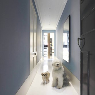 Köpek dairede ise mavi koridor dekorasyonu