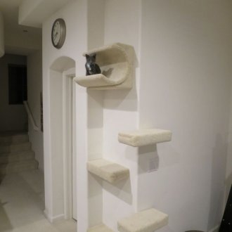 Bir kedi ile koridor köşesi tasarımı