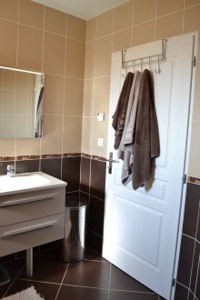 Bej kahverengi kiremitli banyo