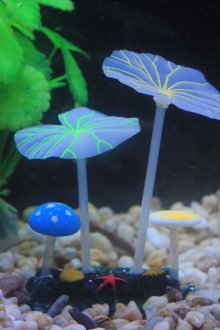 Akvaryum plastik için dekor