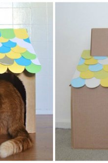 Cardboard cat house