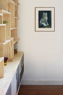Plywood living room shelving