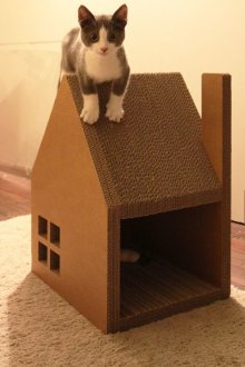 Glued cardboard house for cats