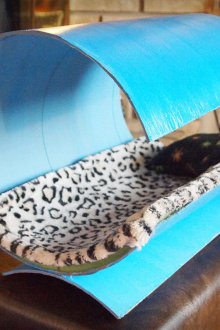 Unusual cat bed