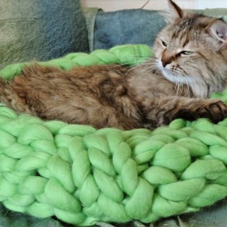 Green knitted bed for cats