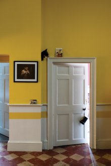 Wall panels for the corridor yellow