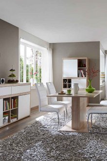White dining room interior