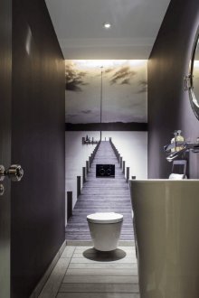 Carta da parati WC sul muro