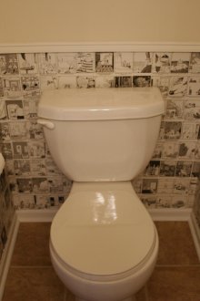 Carta da parati nella toilette in basso