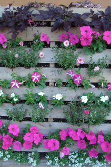 Aiuola verticale in un pallet