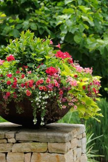 Bellissimi fiori in una ciotola semicircolare