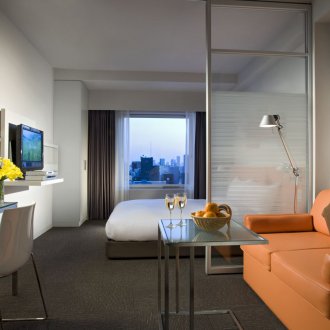 Interior partition in the living room