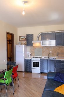 Design kitchen living room in a studio apartment