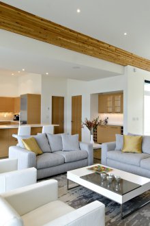 Wood living room kitchen design