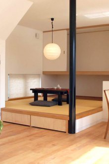 Zoning Ideas Podium