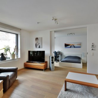 Styles of one-bedroom apartments