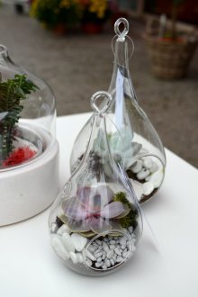 Beyaz florarium