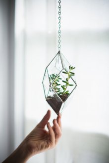 Bir zincir üzerinde Florarium